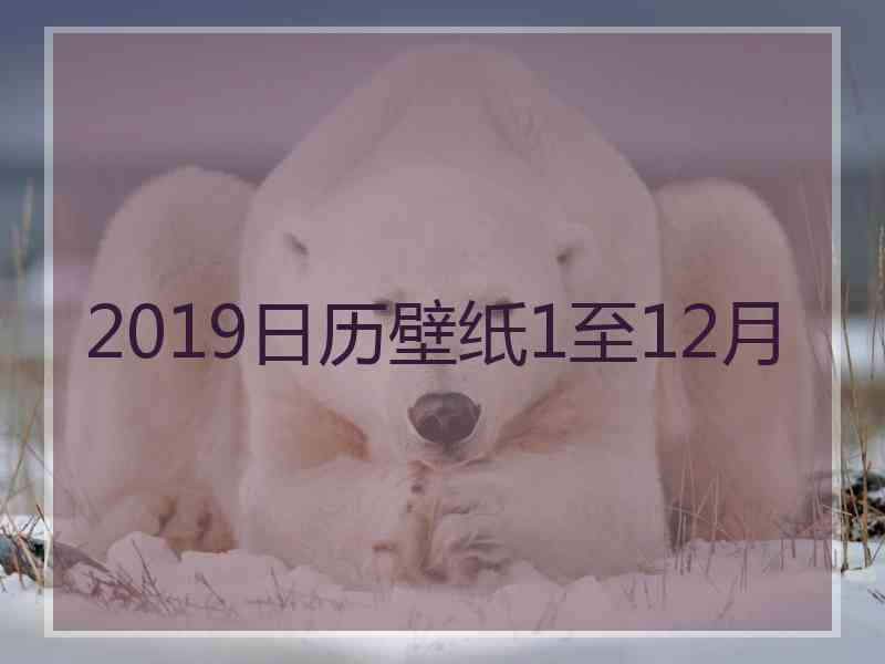 2019日历壁纸1至12月