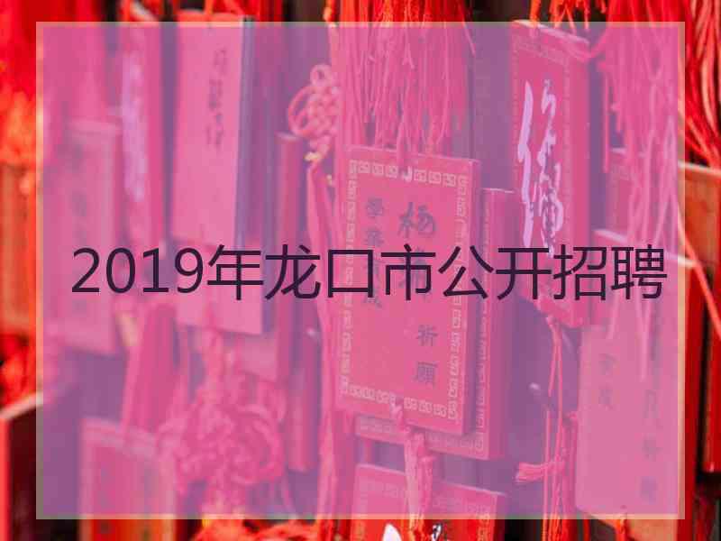 2019年龙口市公开招聘