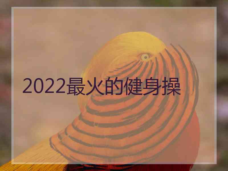 2022最火的健身操