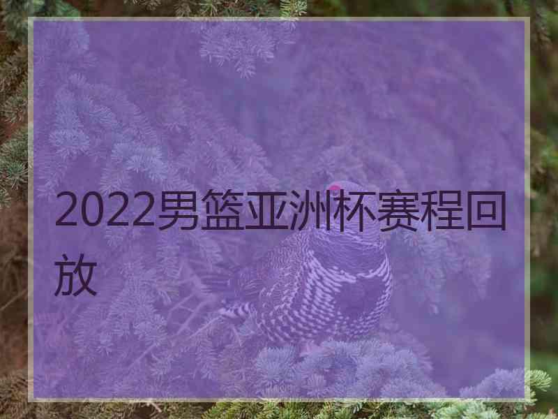 2022男篮亚洲杯赛程回放