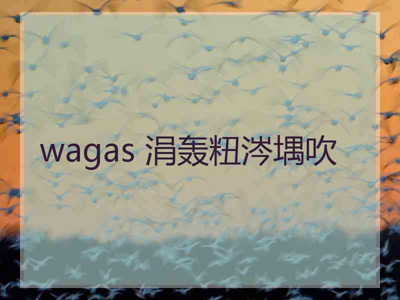 wagas 涓轰粈涔堣吹