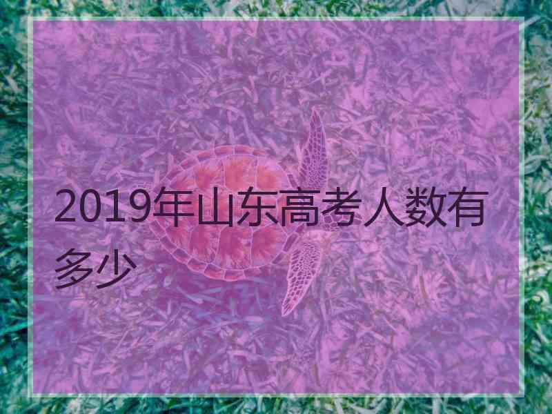 2019年山东高考人数有多少