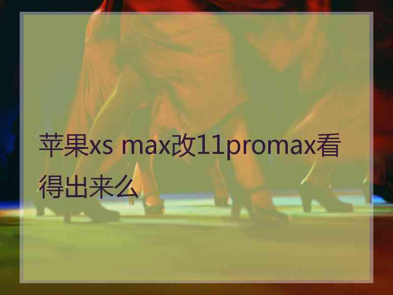 苹果xs max改11promax看得出来么