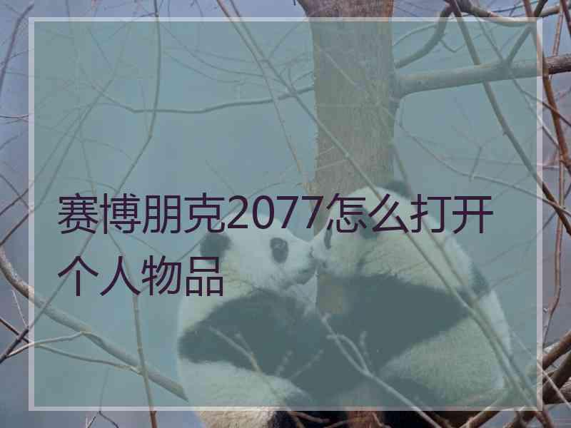 赛博朋克2077怎么打开个人物品