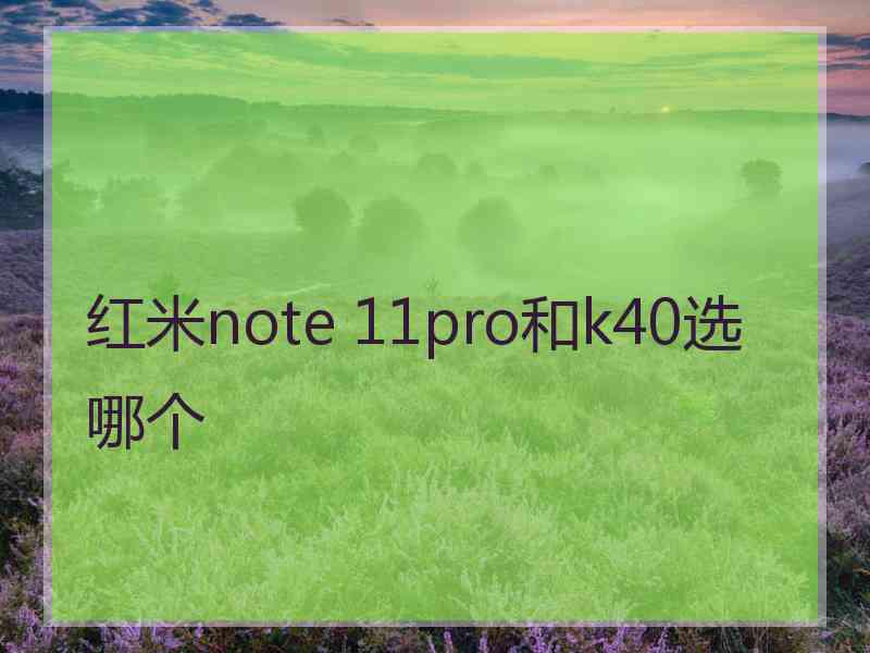 红米note 11pro和k40选哪个