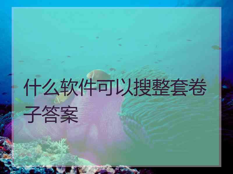 什么软件可以搜整套卷子答案