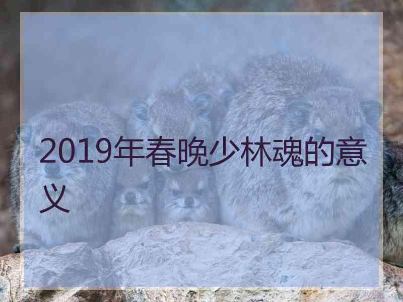 2019年春晚少林魂的意义