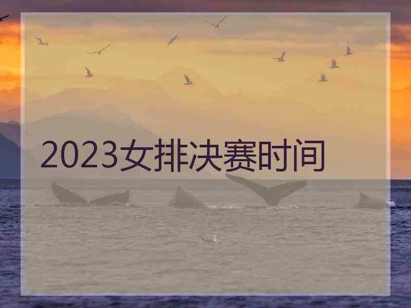 2023女排决赛时间