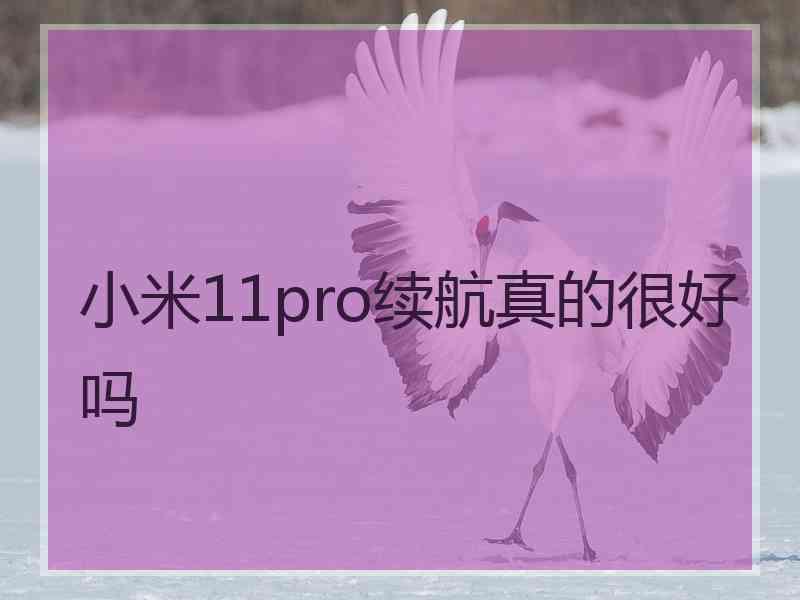 小米11pro续航真的很好吗