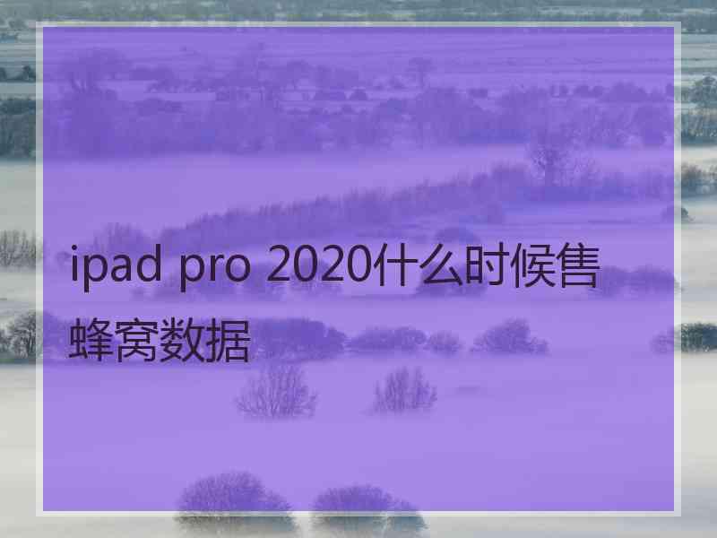 ipad pro 2020什么时候售蜂窝数据