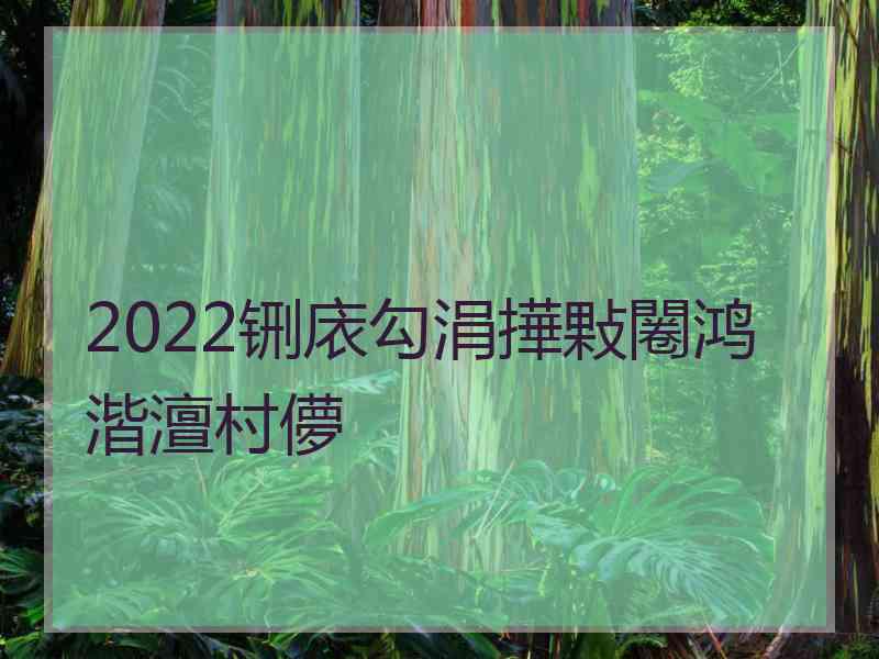 2022铏庡勾涓撶敤闂鸿湝澶村儚