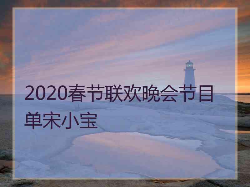 2020春节联欢晚会节目单宋小宝