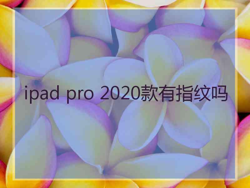 ipad pro 2020款有指纹吗