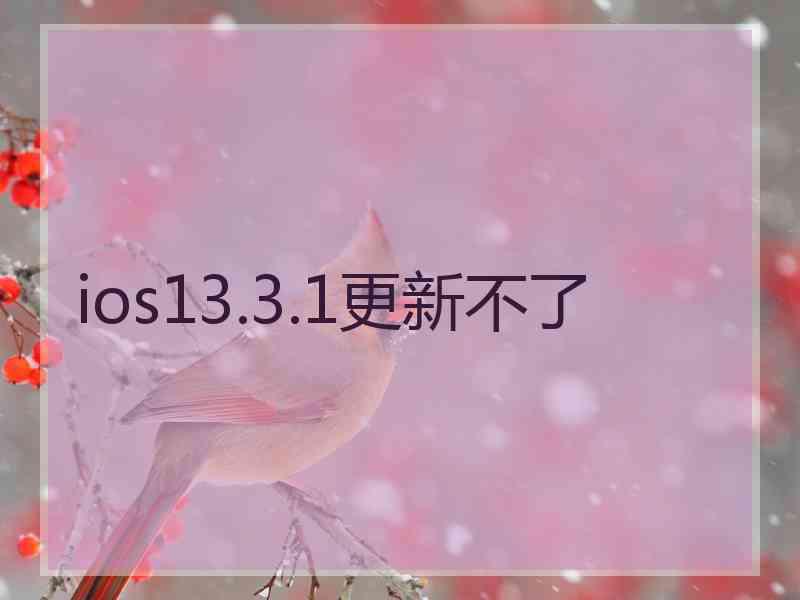 ios13.3.1更新不了