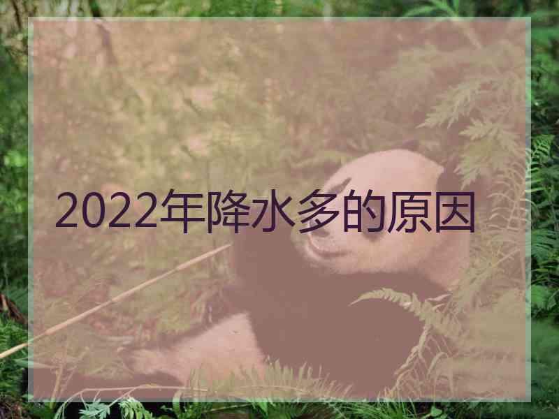 2022年降水多的原因