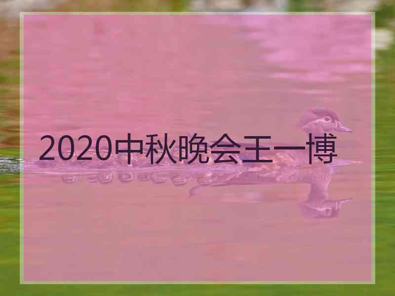 2020中秋晚会王一博