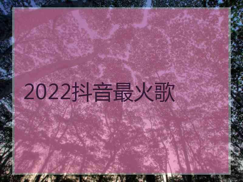 2022抖音最火歌