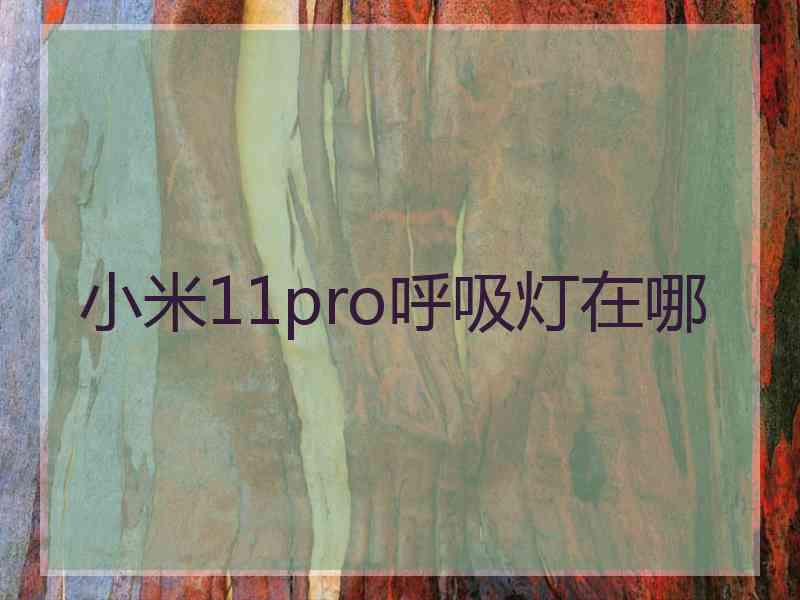 小米11pro呼吸灯在哪