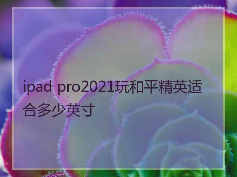 ipad pro2021玩和平精英适合多少英寸