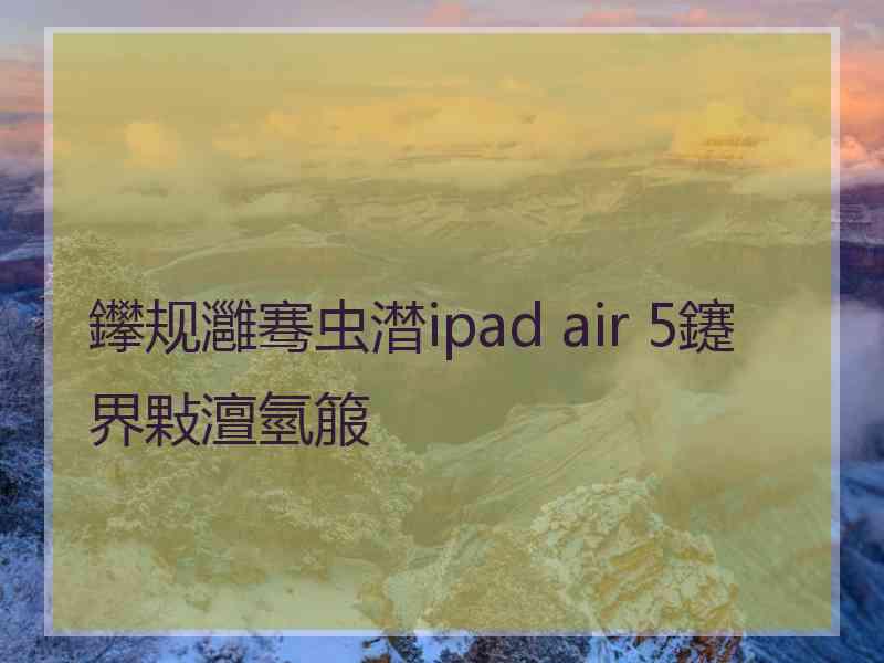 鑻规灉骞虫澘ipad air 5鑳界敤澶氫箙