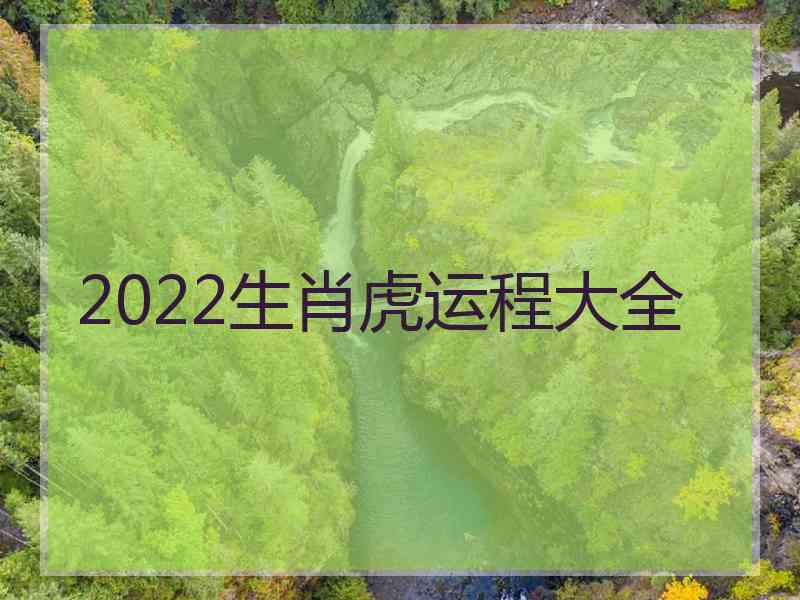 2022生肖虎运程大全