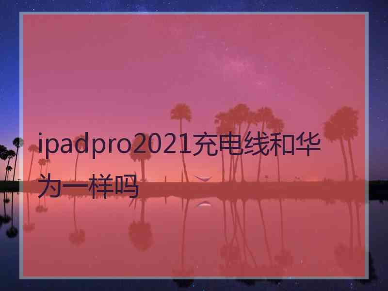 ipadpro2021充电线和华为一样吗