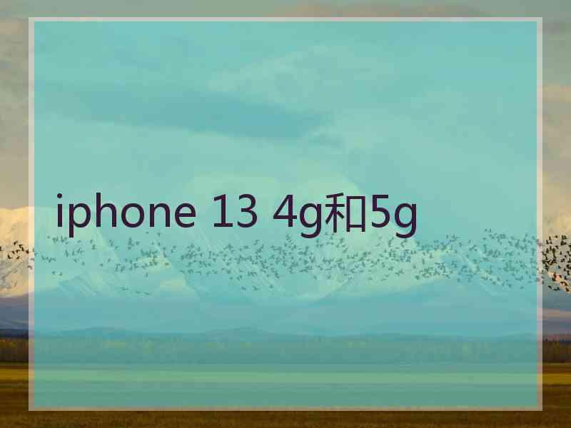 iphone 13 4g和5g