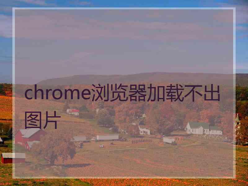 chrome浏览器加载不出图片