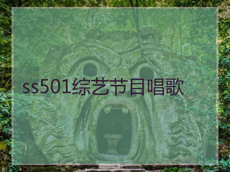 ss501综艺节目唱歌