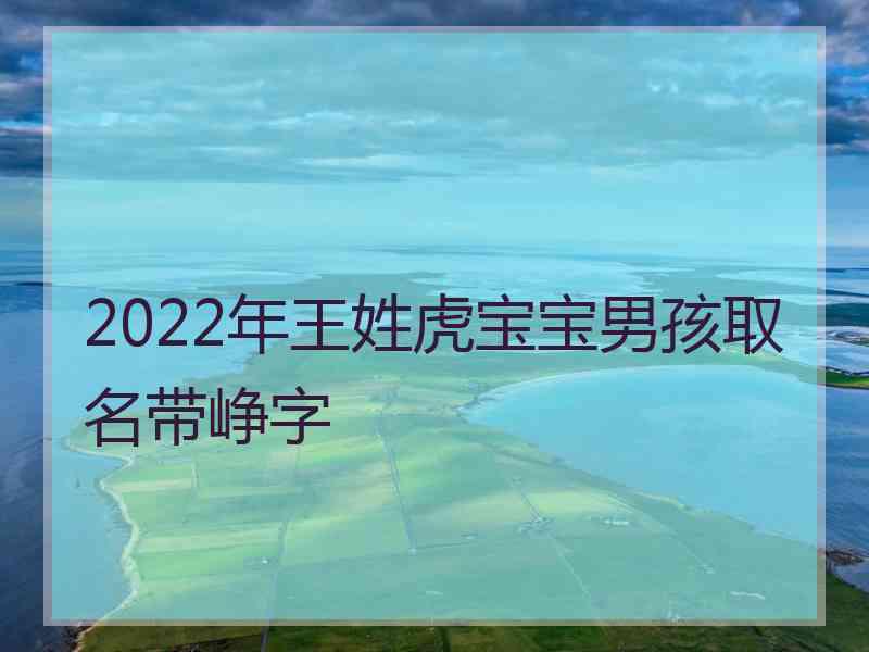 2022年王姓虎宝宝男孩取名带峥字