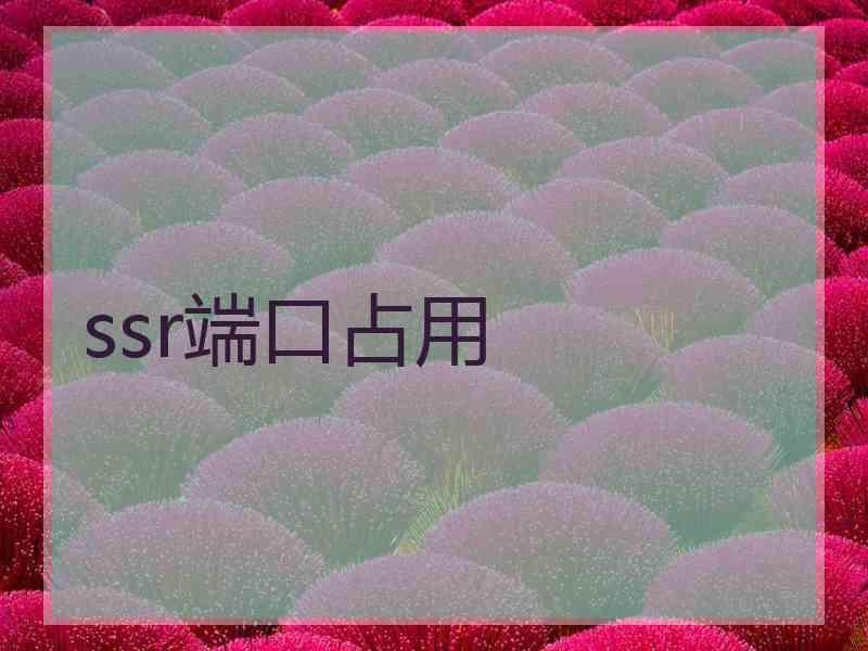 ssr端口占用