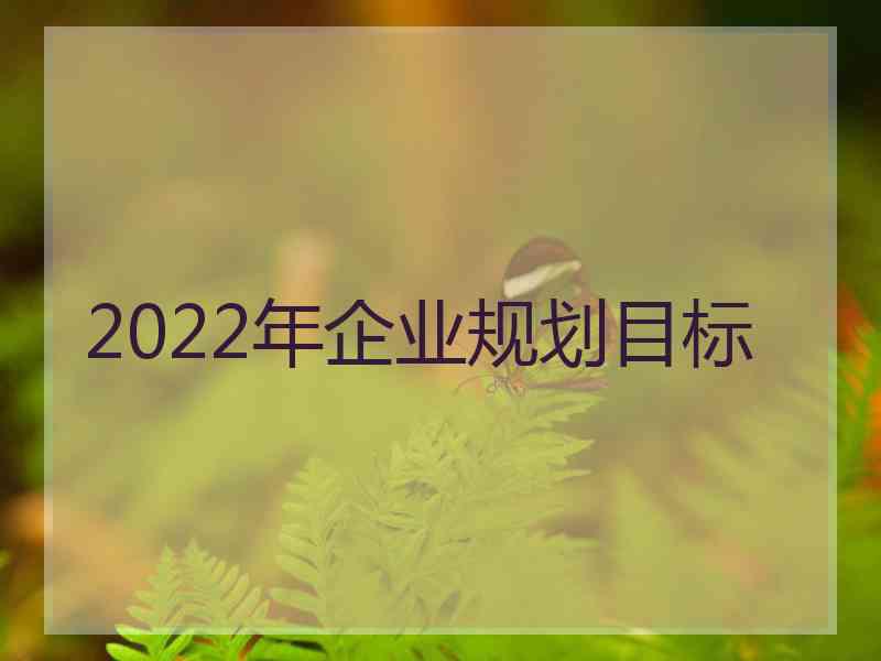 2022年企业规划目标