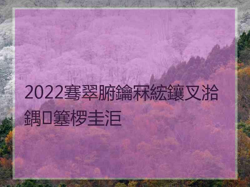 2022骞翠腑鑰冧綋鑲叉湁鍝簺椤圭洰