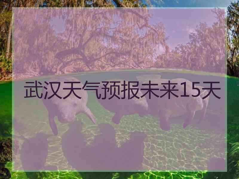 武汉天气预报未来15天