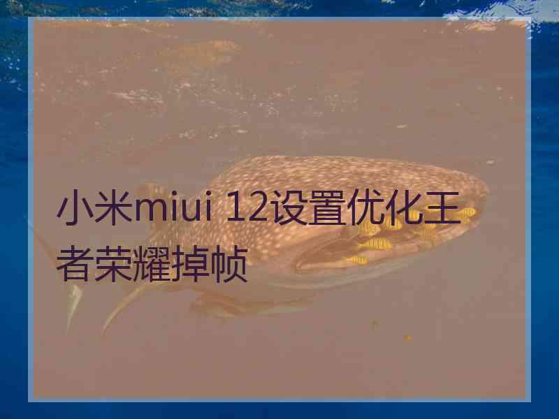 小米miui 12设置优化王者荣耀掉帧