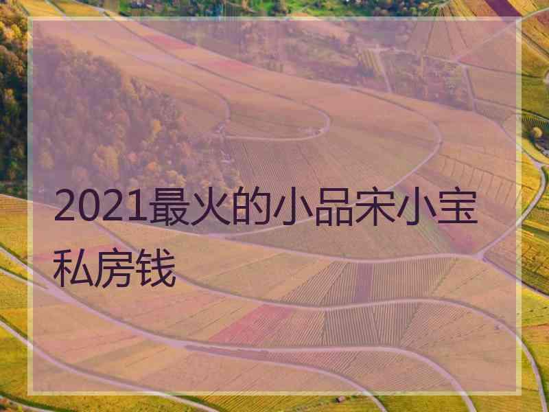 2021最火的小品宋小宝私房钱