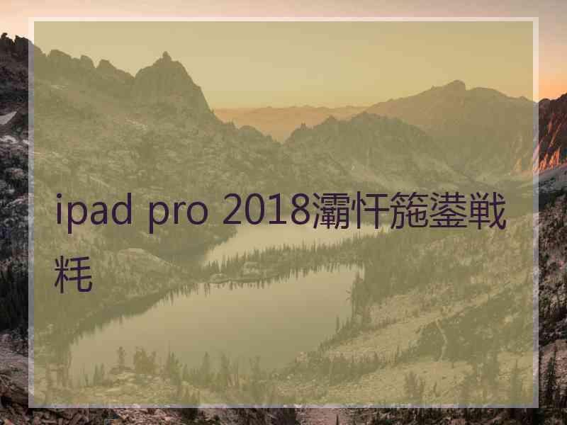 ipad pro 2018灞忓箷鍙戦粍