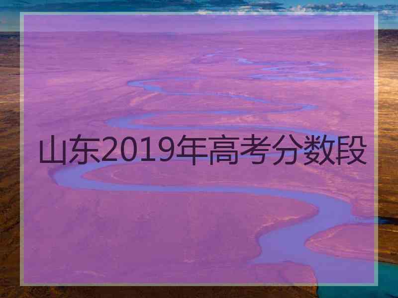 山东2019年高考分数段