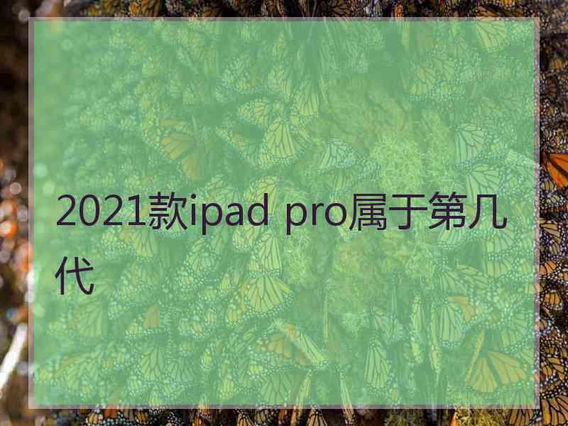 2021款ipad pro属于第几代