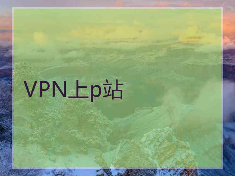 VPN上p站