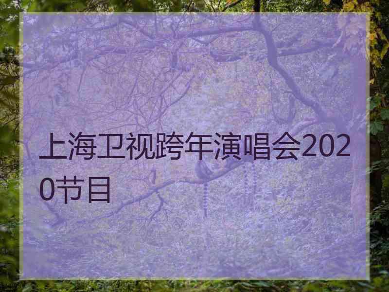 上海卫视跨年演唱会2020节目