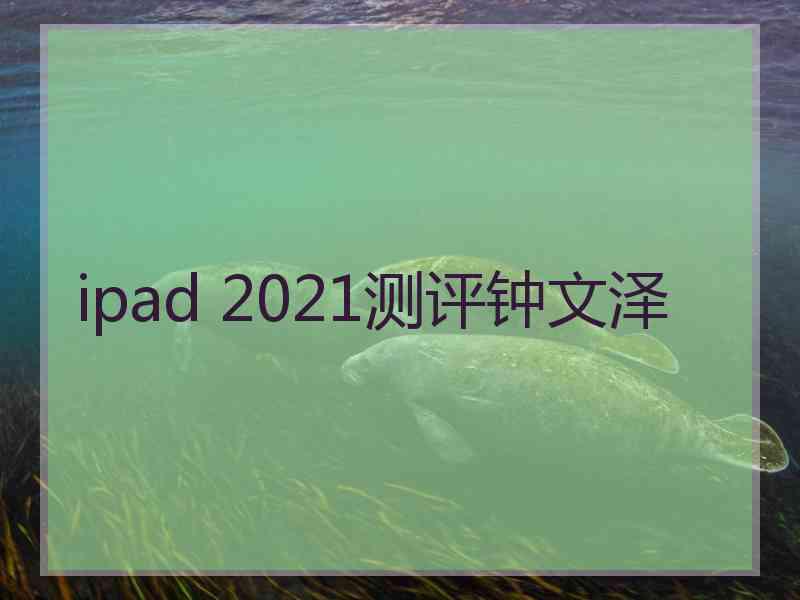 ipad 2021测评钟文泽