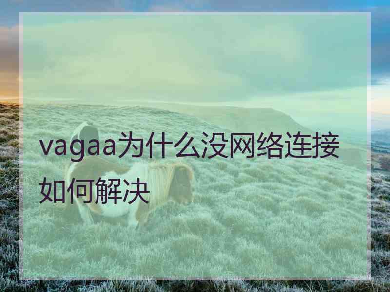 vagaa为什么没网络连接如何解决