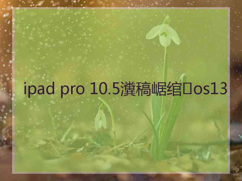 ipad pro 10.5瀵稿崌绾os13