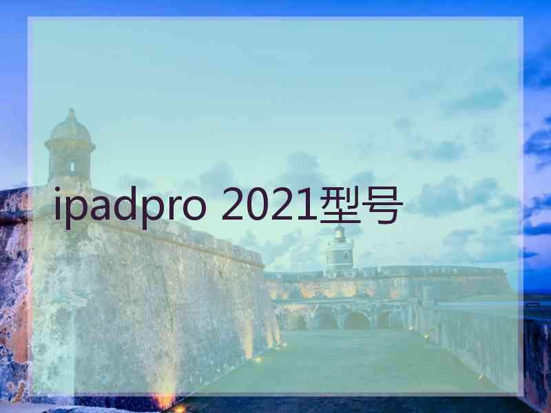 ipadpro 2021型号