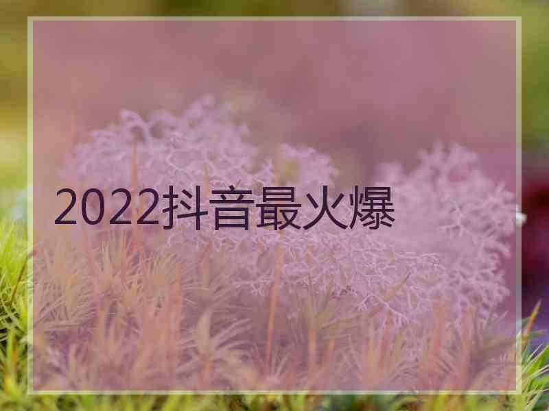 2022抖音最火爆