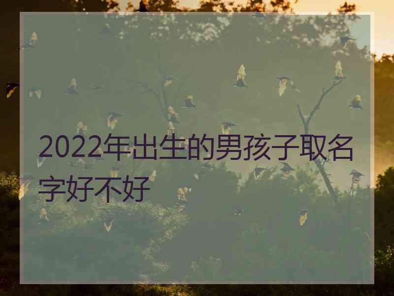 2022年出生的男孩子取名字好不好