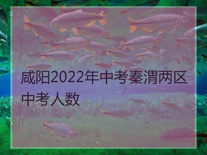 咸阳2022年中考秦渭两区中考人数