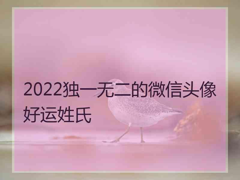 2022独一无二的微信头像好运姓氏