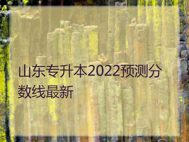 山东专升本2022预测分数线最新